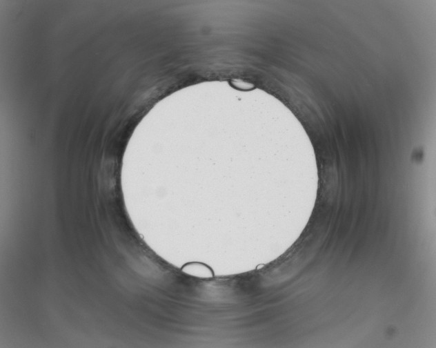 X0000116760232201001281618