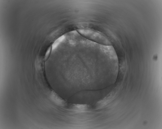 X0000116760233201001281618