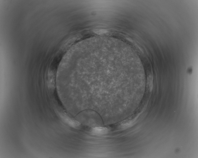 X0000116760234201001281618