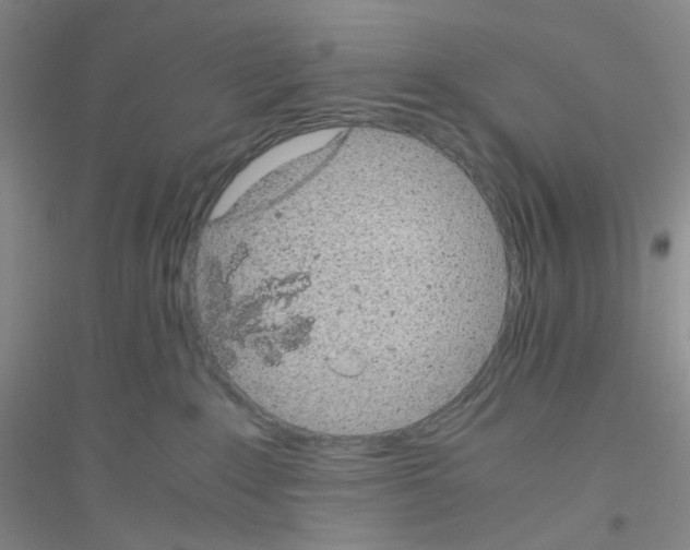 X0000116760235201001281618