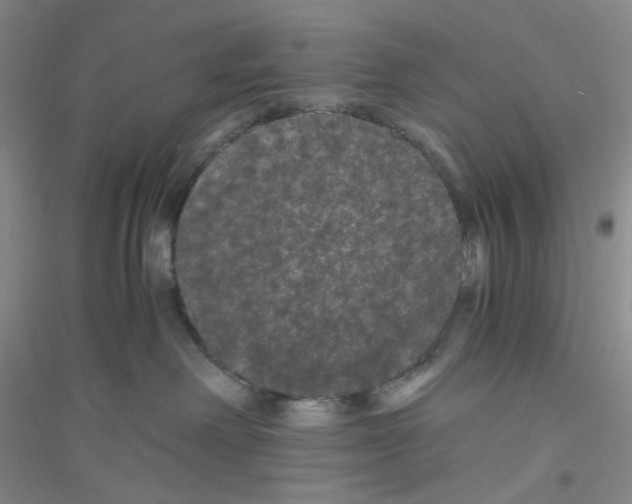 X0000116760238201001281618