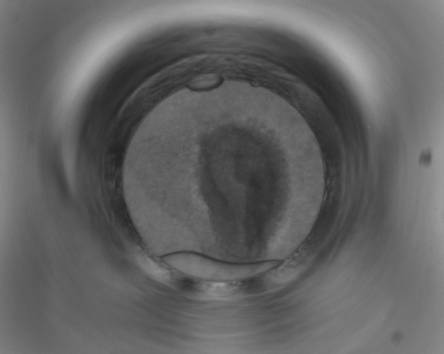 X0000116760239201001281618