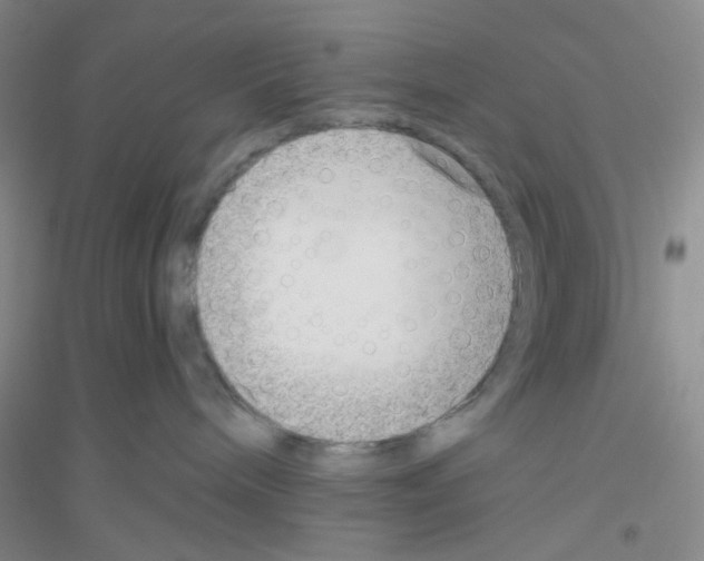 X0000116760240201001281618