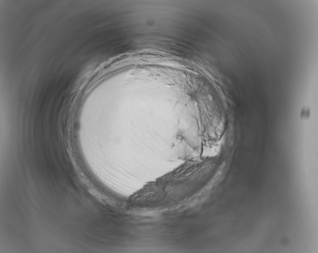 X0000116760241201001281618