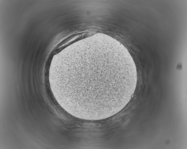 X0000116760242201001281618