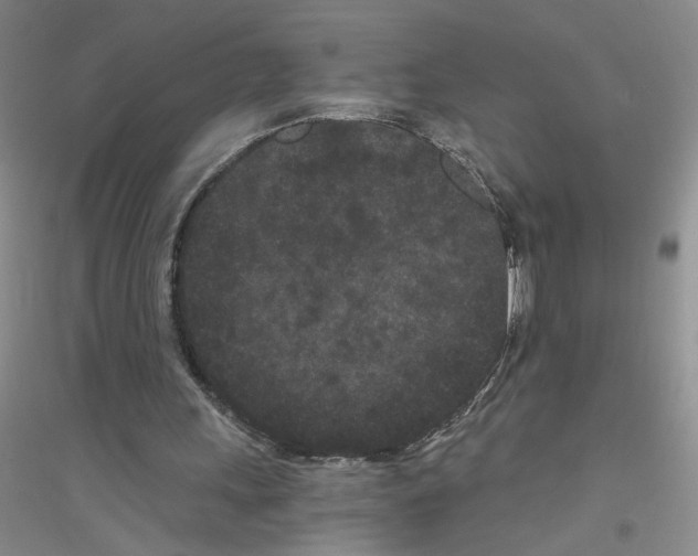 X0000116760243201001281618