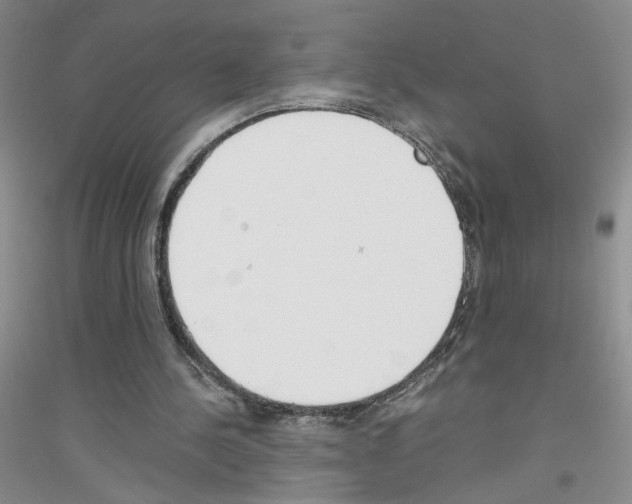 X0000116760244201001281618