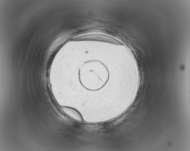 X0000116760245201001281618