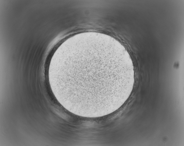 X0000116760246201001281618