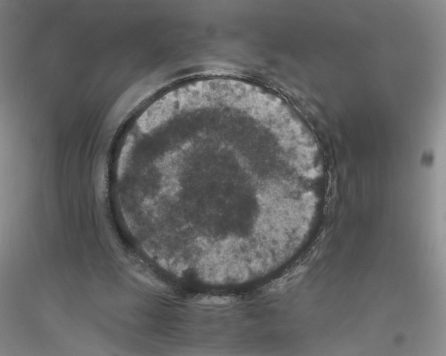 X0000116760247201001281618