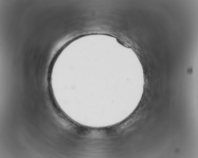 X0000116760248201001281618