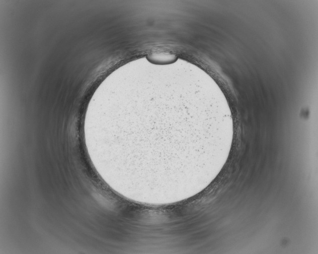 X0000116760250201001281618