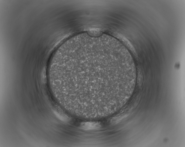 X0000116760251201001281618