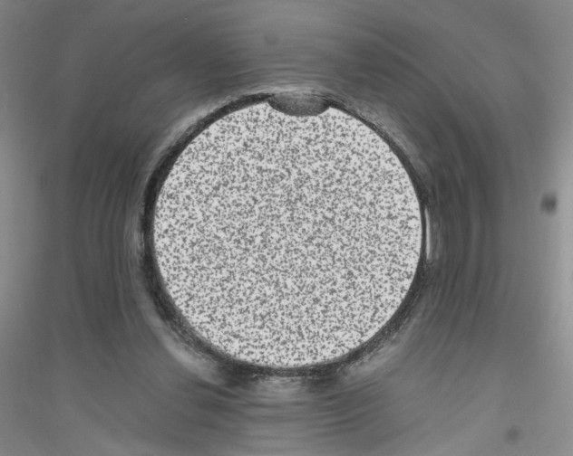 X0000116760252201001281618