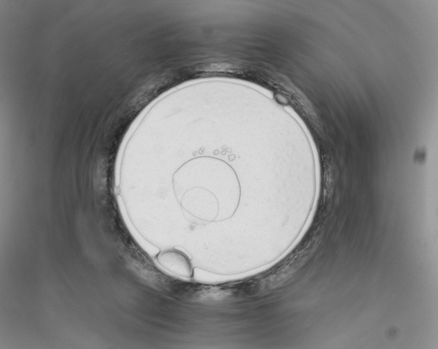 X0000116760257201001281618