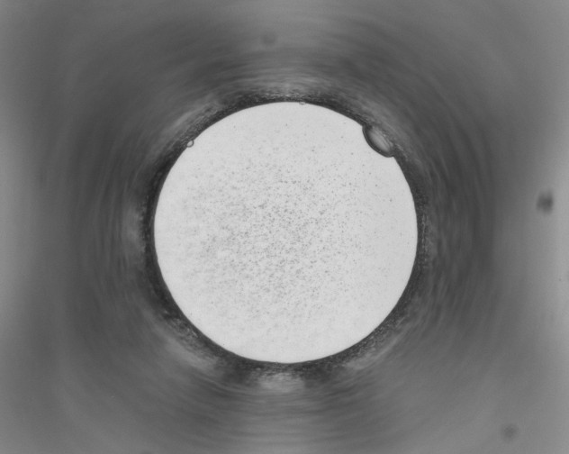 X0000116760258201001281618