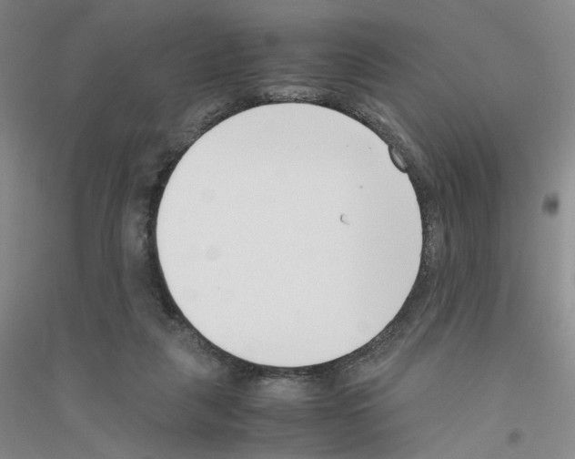 X0000116760259201001281618