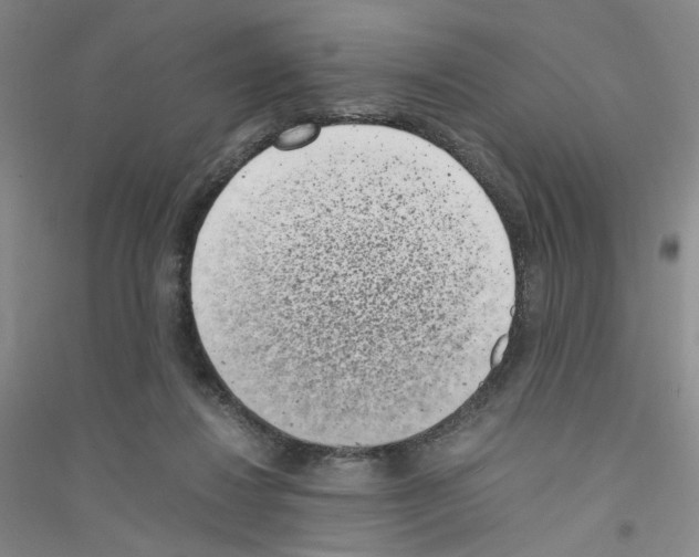 X0000116760260201001281618