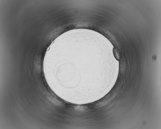 X0000116760261201001281618