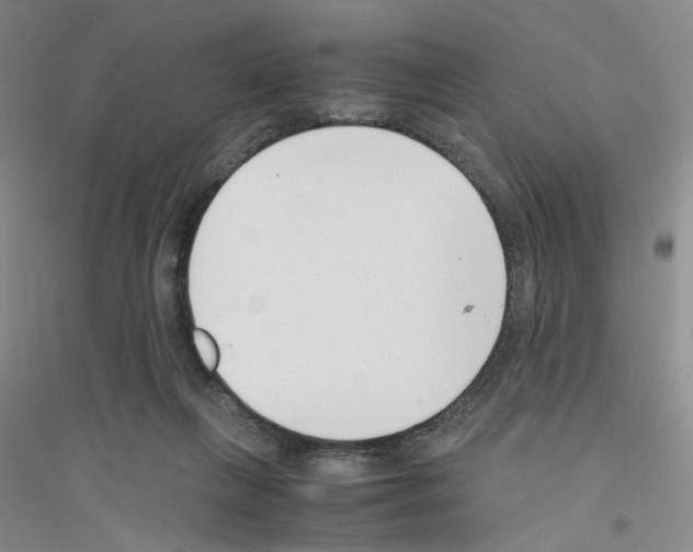 X0000116760263201001281618