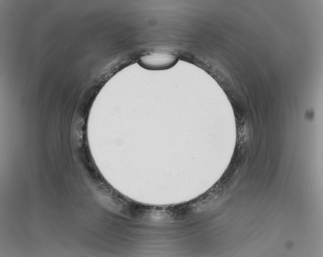 X0000116760264201001281618