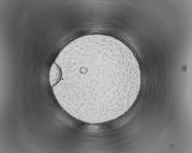 X0000116760265201001281618