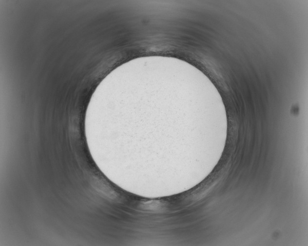 X0000116760269201001281618