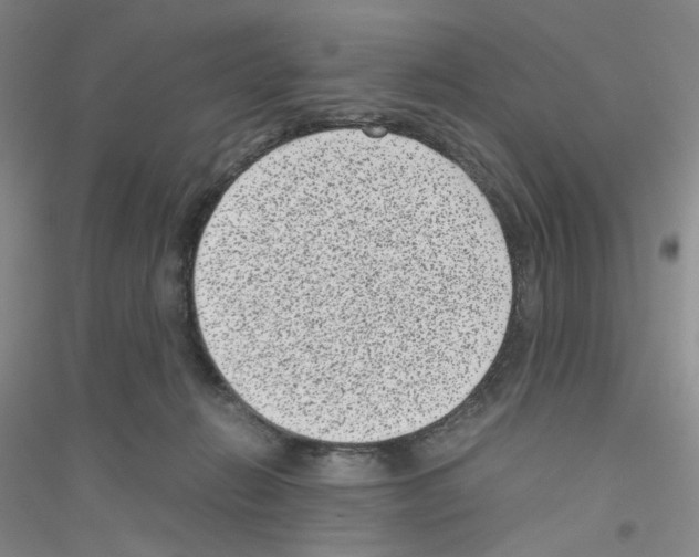 X0000116760270201001281618