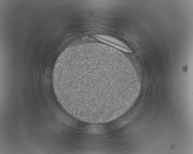 X0000116760273201001281618