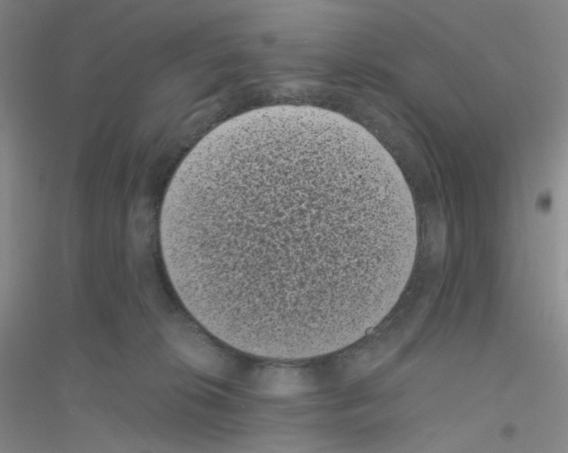 X0000116760276201001281618