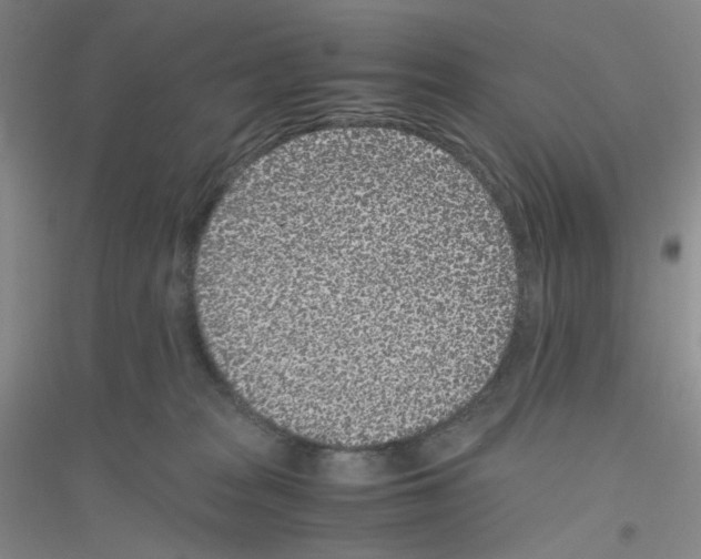 X0000116760277201001281618