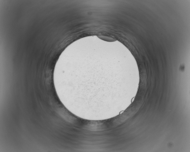 X0000116760278201001281618