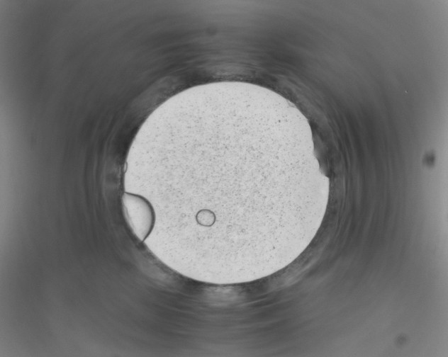 X0000116760281201001281618