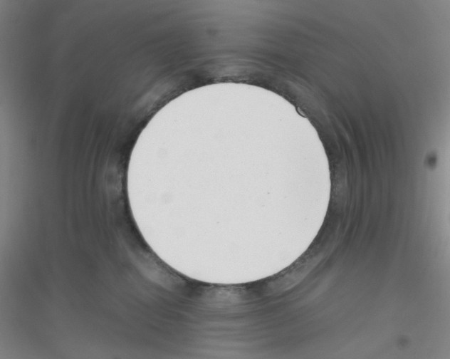 X0000116760282201001281618