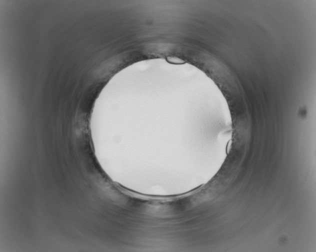 X0000116760284201001281618