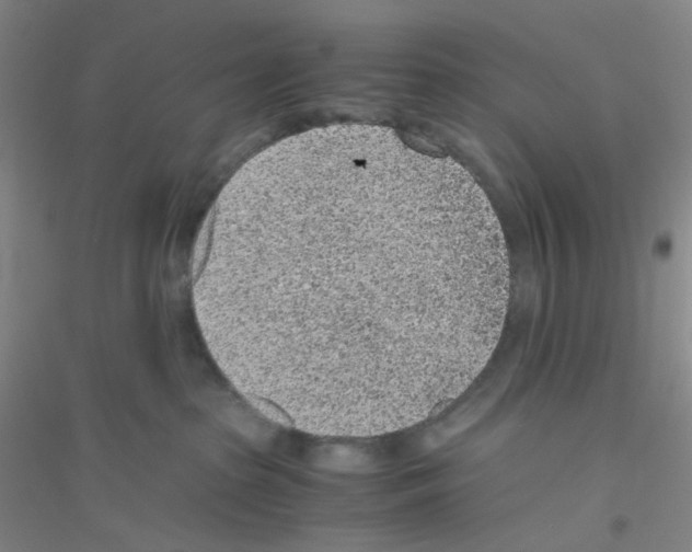 X0000116760285201001281618