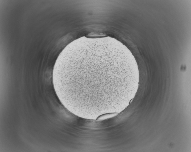 X0000116760288201001281618