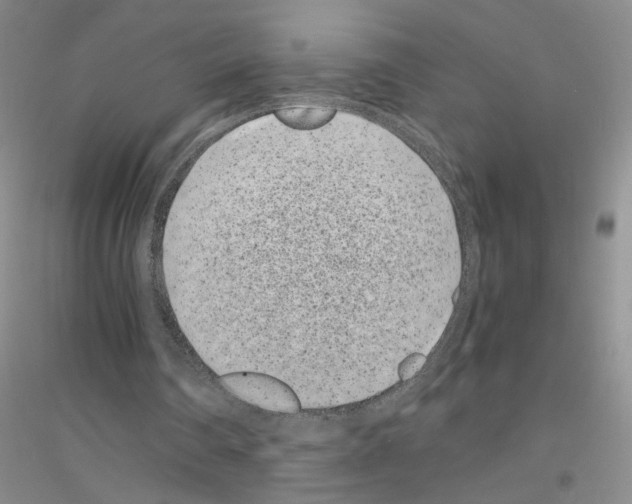 X0000116760290201001281617