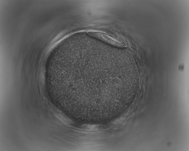 X0000116760295201001281617