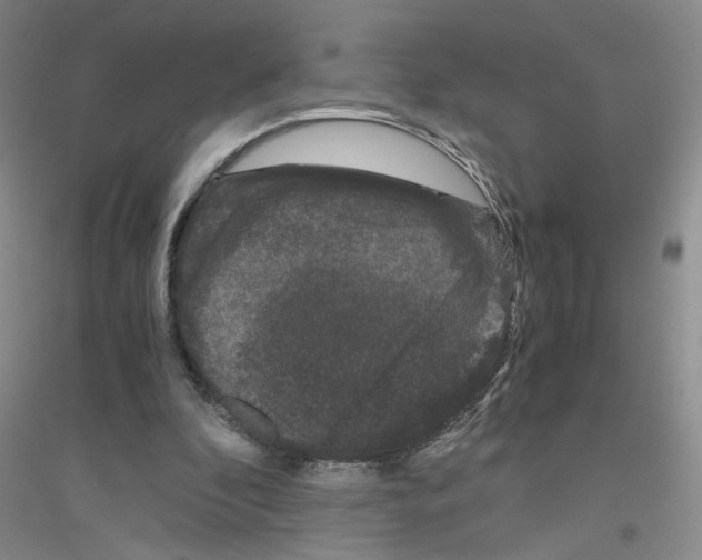 X0000116760296201001281617