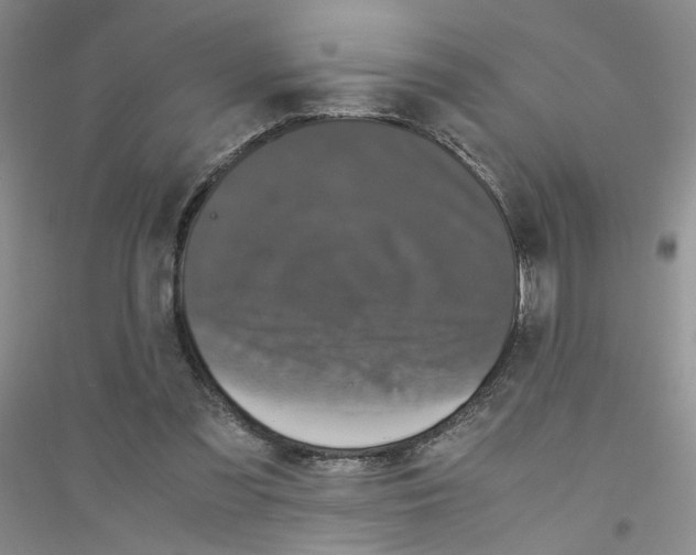 X0000116760301201001281617