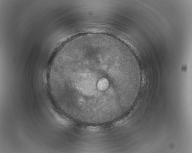 X0000116760302201001281617