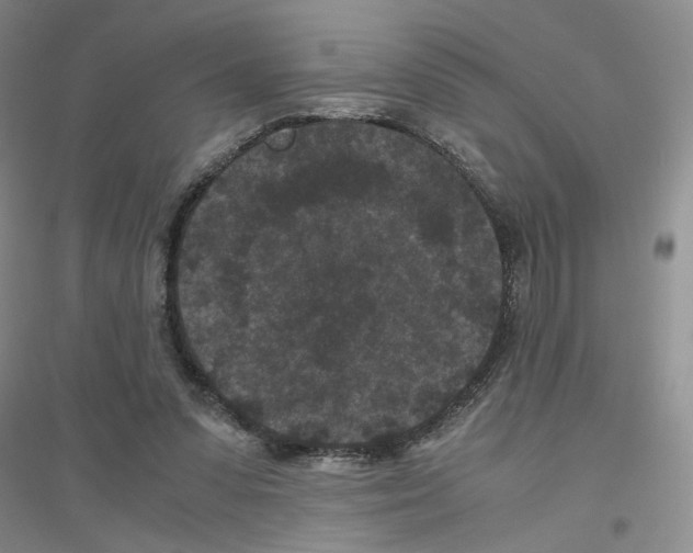 X0000116760303201001281617