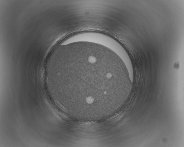 X0000116760304201001281617