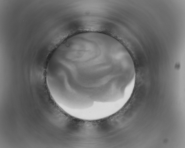 X0000116760305201001281617