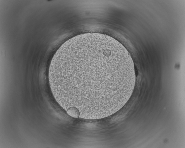 X0000116760306201001281617