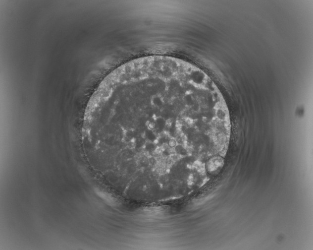 X0000116760307201001281617