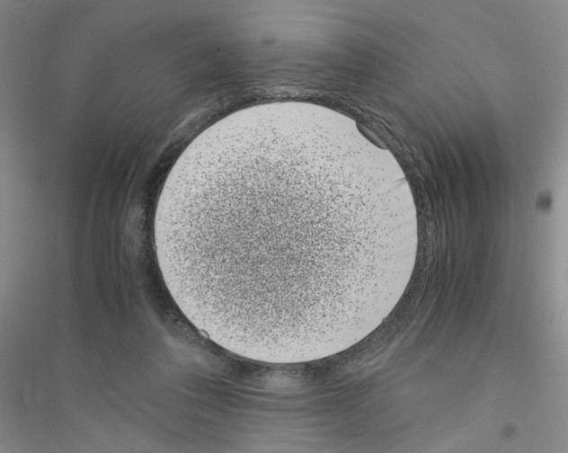 X0000116760308201001281617