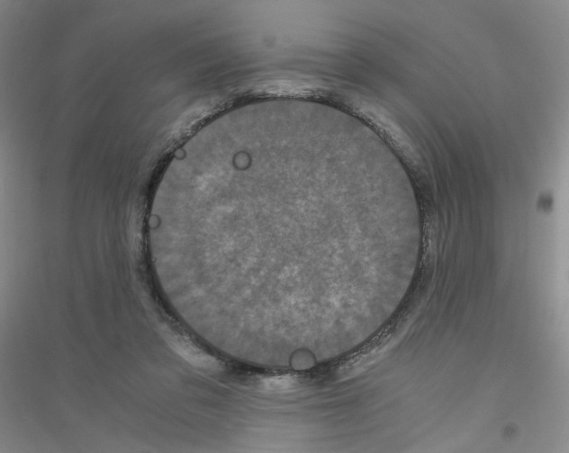 X0000116760309201001281617