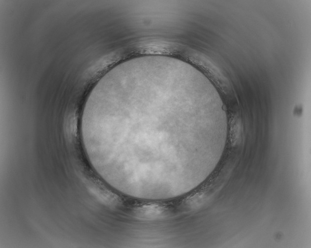 X0000116760310201001281617